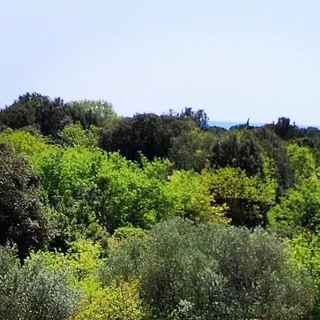 Konukevi Mareonda - Sussurro 4*